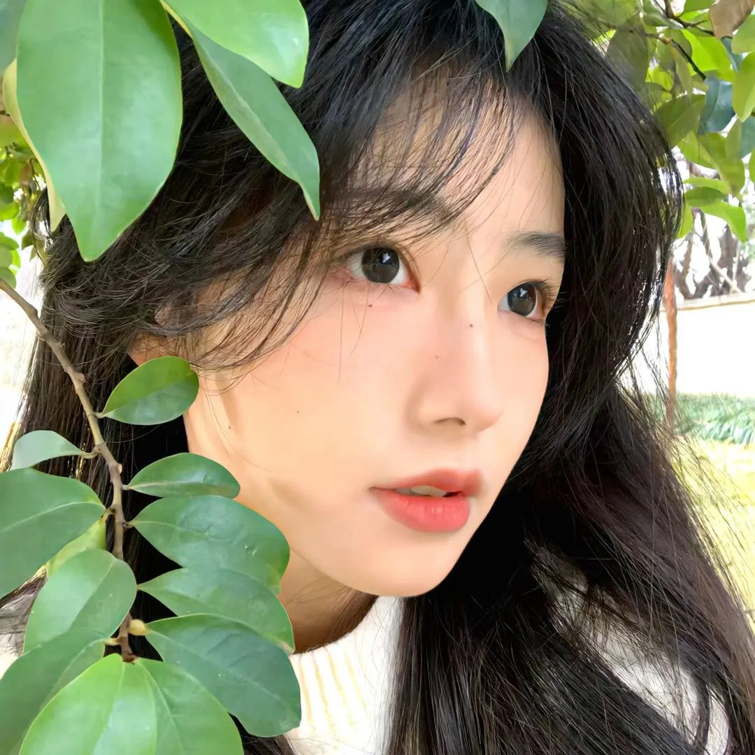 双鱼玉佩之大漠风云