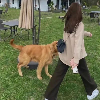 超级小郎中之降龙戒