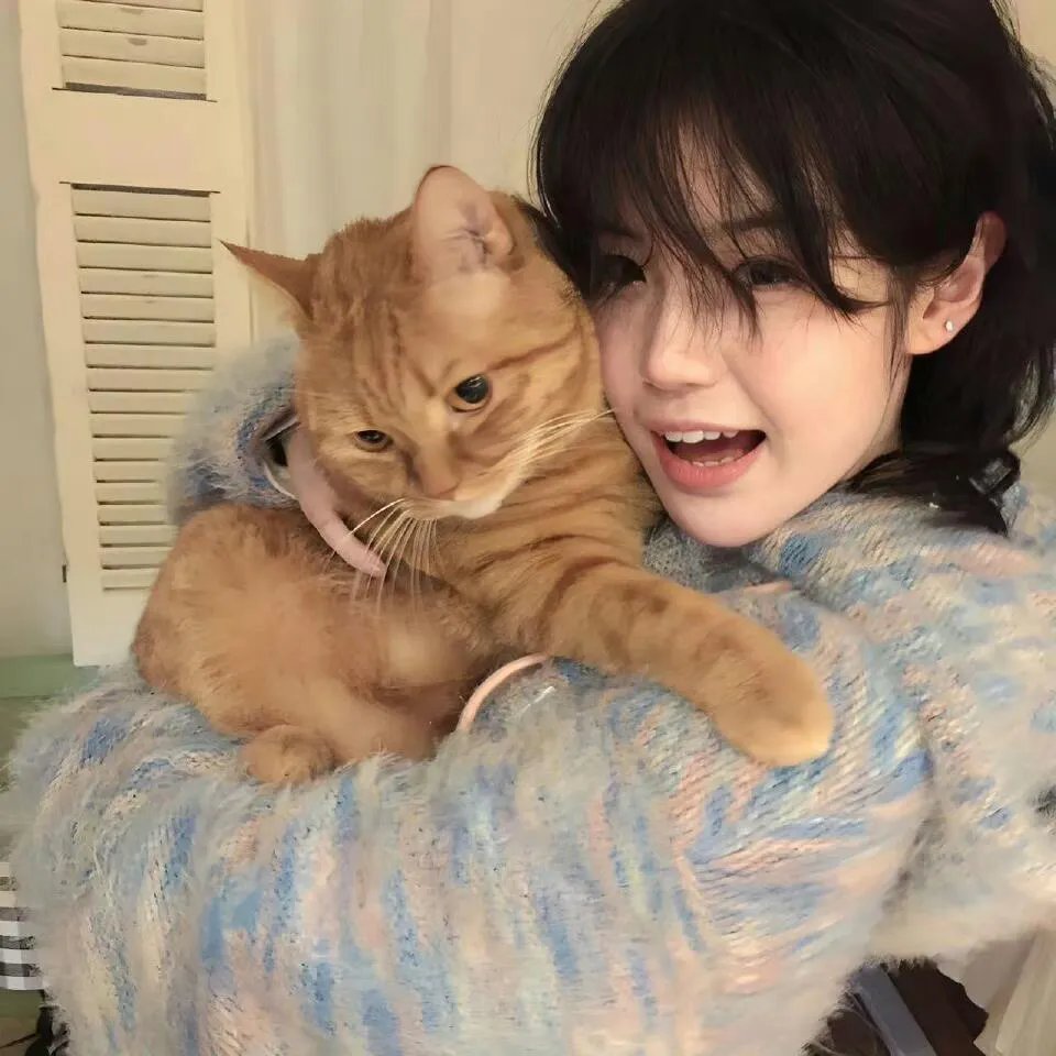 键盘猫